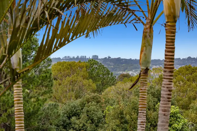 Second view of Homely unit listing, 6/61 Marana Street, Bilambil Heights NSW 2486