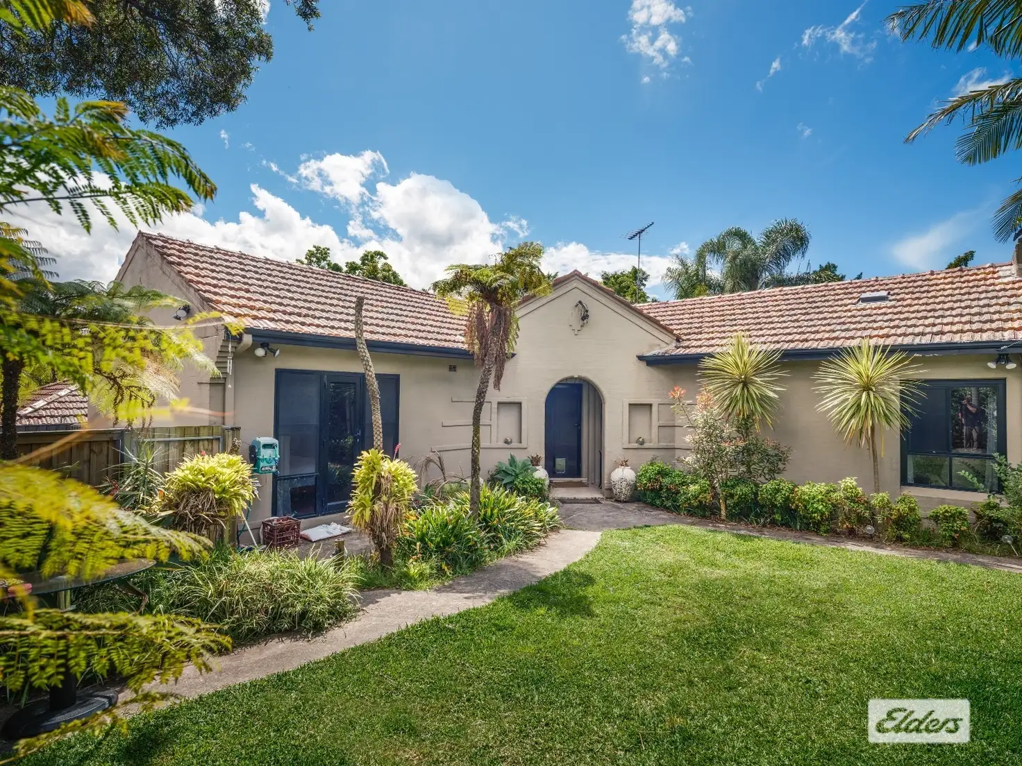 Main view of Homely house listing, 251 Eastern Valley Way, Middle Cove NSW 2068