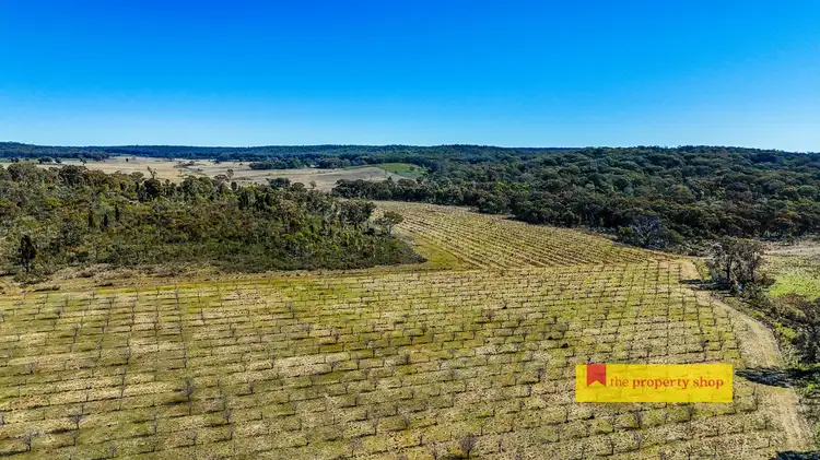Lot 77/369 Montaza Road, Gulgong NSW 2852