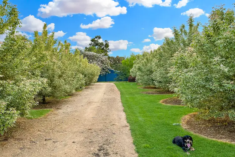 20 Square Road, Moorbel NSW 2804