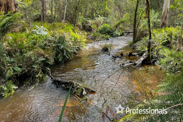 Second view of Homely house listing, 59 Fisherman Drive, Reefton VIC 3799