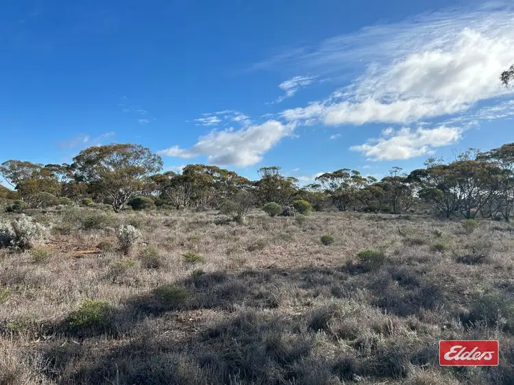 Main view of Homely land listing, Sec 166 Thiele Highway, Bower SA 5374