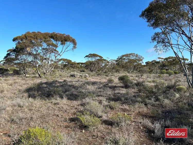 Third view of Homely land listing, Sec 166 Thiele Highway, Bower SA 5374