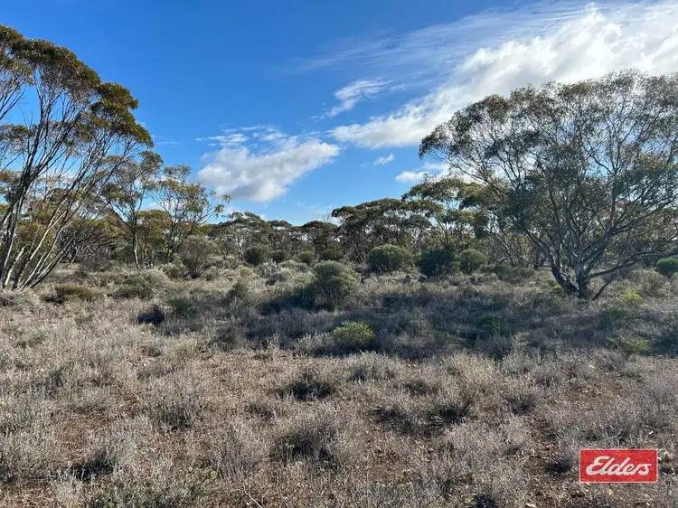 Fourth view of Homely land listing, Sec 166 Thiele Highway, Bower SA 5374