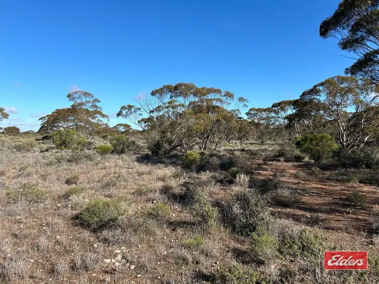 Fifth view of Homely land listing, Sec 166 Thiele Highway, Bower SA 5374