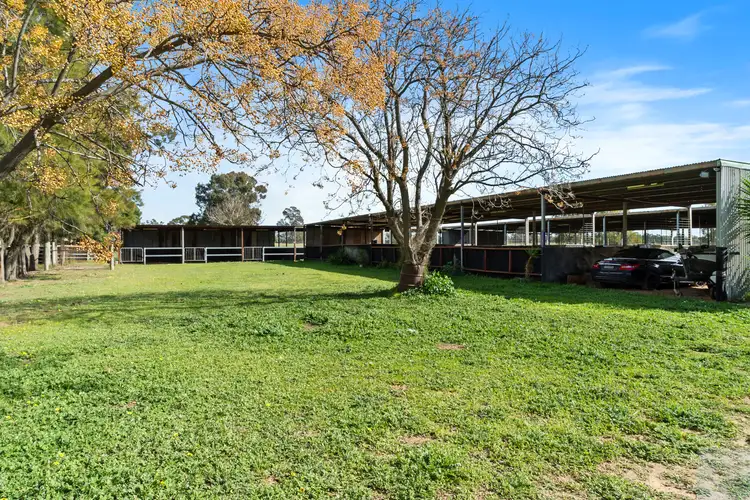 Third view of Homely house listing, 45 Honniball Drive, Tocumwal NSW 2714
