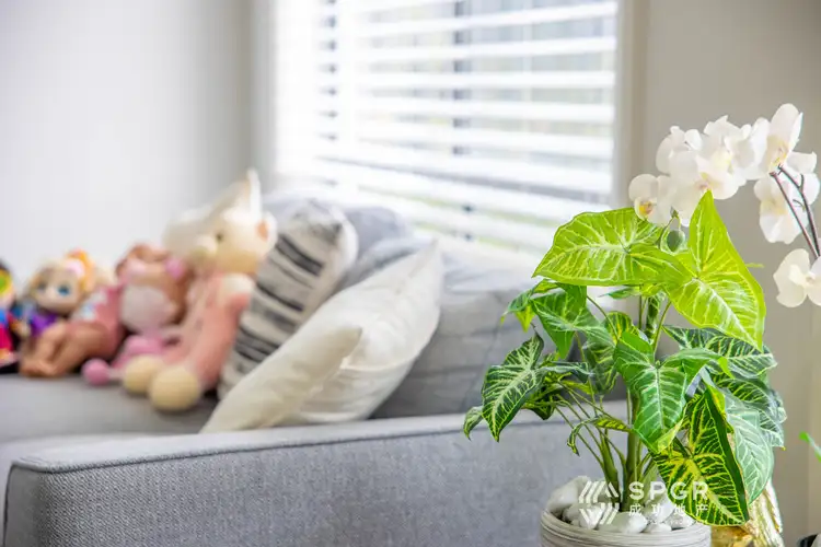 Third view of Homely house listing, 5 Furber Street, The Ponds NSW 2769