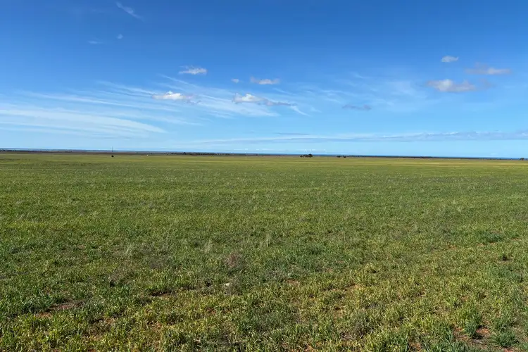 LOT 81 Wildman Road, Cowell SA 5602