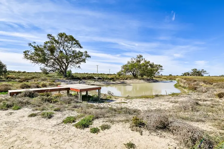 Fourth view of Homely rural property listing, 156 Darling View Road, Wentworth NSW 2648