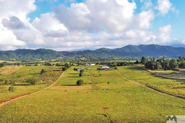 310 Donkin Road, Utchee Creek QLD 4871