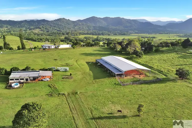 Second view of Homely rural property listing, 310 Donkin Road, Utchee Creek QLD 4871