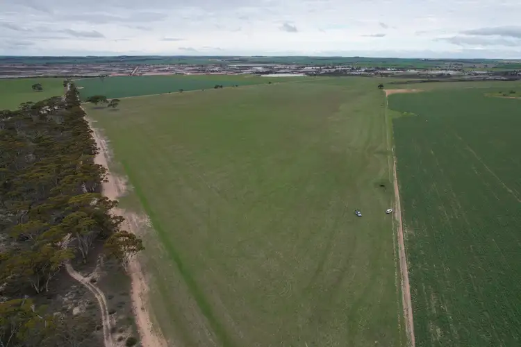 Fifth view of Homely rural property listing, Quairading South Road, Dangin WA 6383