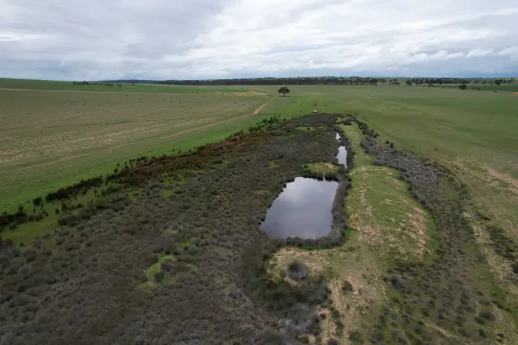Sixth view of Homely rural property listing, Quairading South Road, Dangin WA 6383