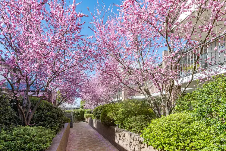 Main view of Homely apartment listing, 42/3 Victoria Street, Bowral NSW 2576