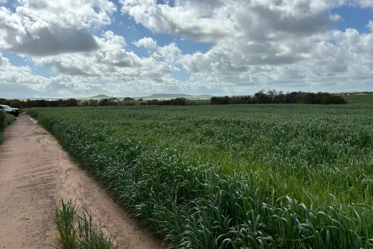 Fourth view of Homely rural property listing, lot 308 Bootenal Road, Bootenal WA 6532