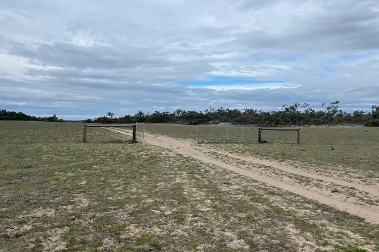 Main view of Homely rural property listing, 1287 Baan Hill Road, Lameroo SA 5302