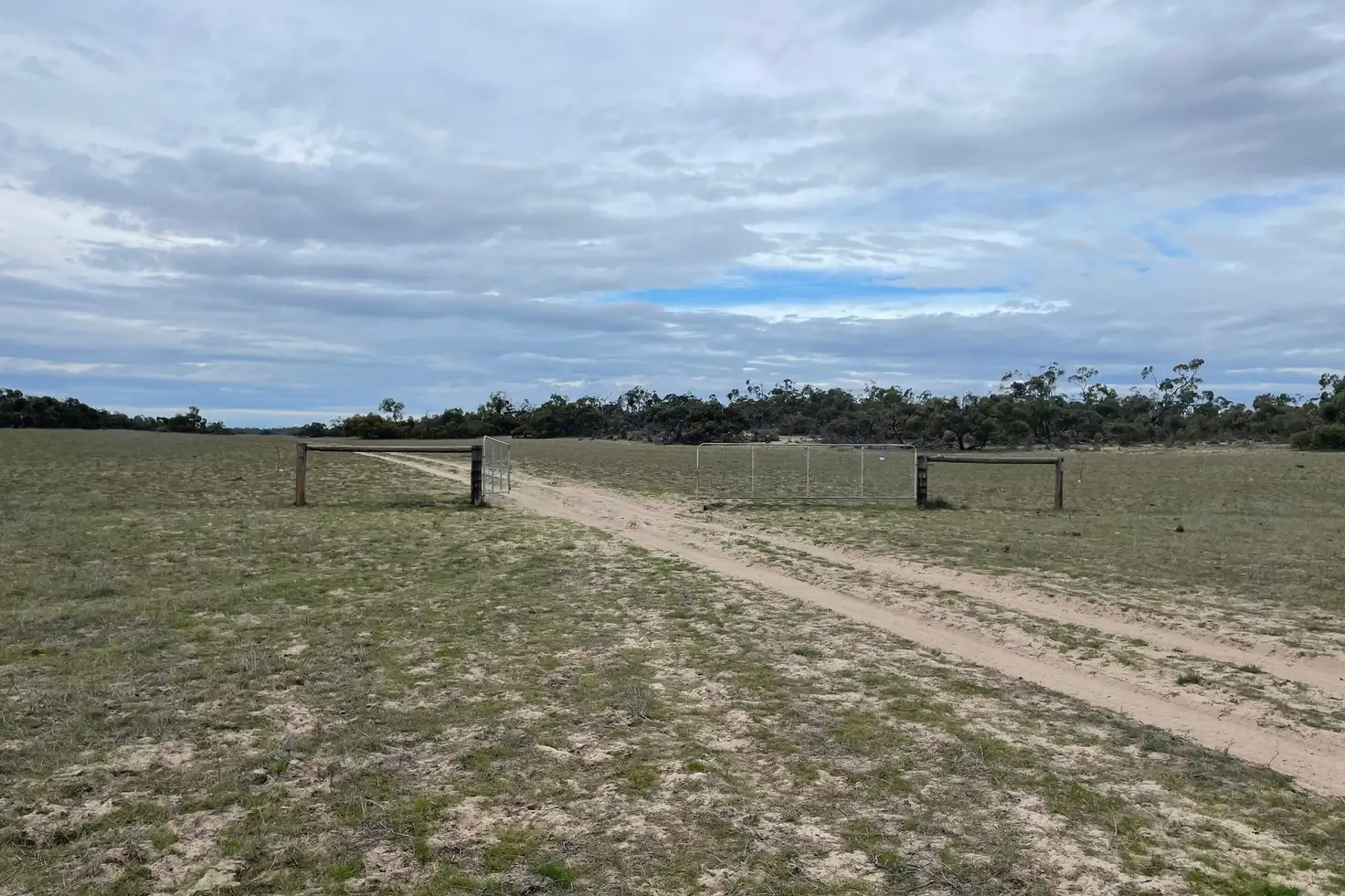 Main view of Homely rural property listing, 1287 Baan Hill Road, Lameroo SA 5302