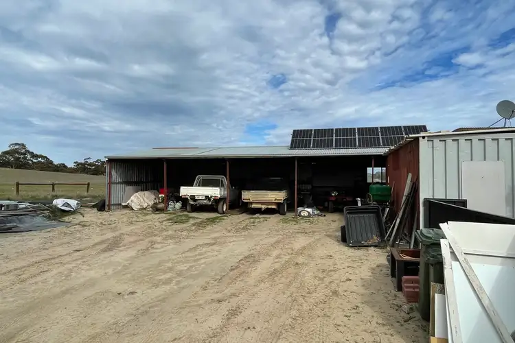 Fourth view of Homely rural property listing, 1287 Baan Hill Road, Lameroo SA 5302
