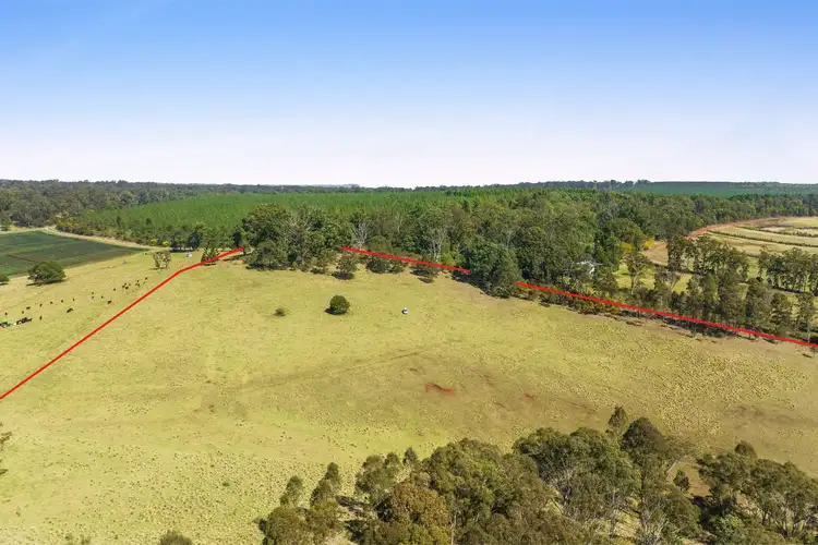 Third view of Homely rural property listing, LOT 545 McMullen Road, Hampton QLD 4352