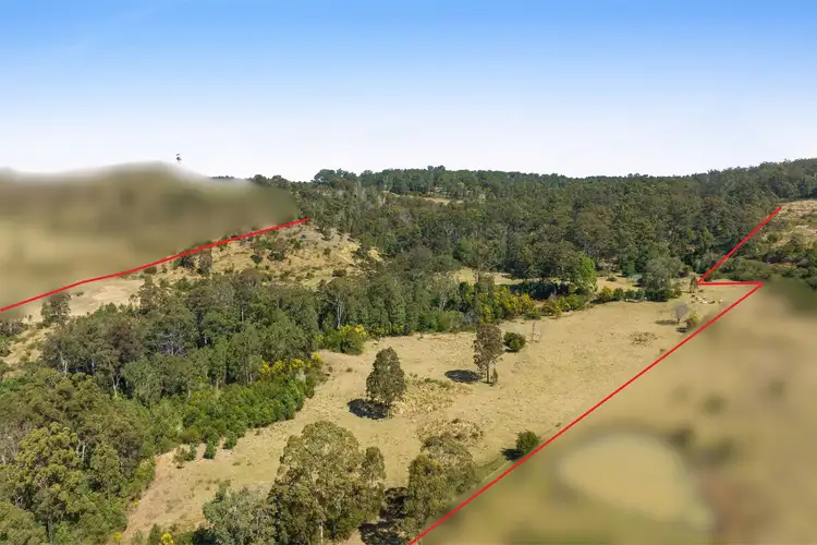Seventh view of Homely rural property listing, LOT 545 McMullen Road, Hampton QLD 4352