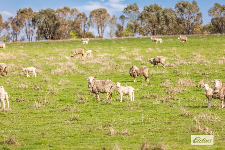 Fifth view of Homely rural property listing, Moorabbee Foreshore Road, Knowsley VIC 3523