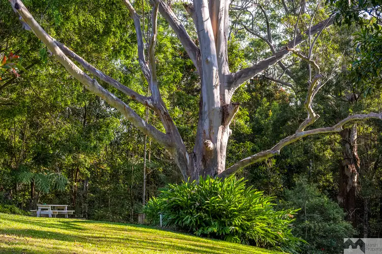 Seventh view of Homely rural property listing, 12028 Kennedy Highway, Ravenshoe QLD 4888