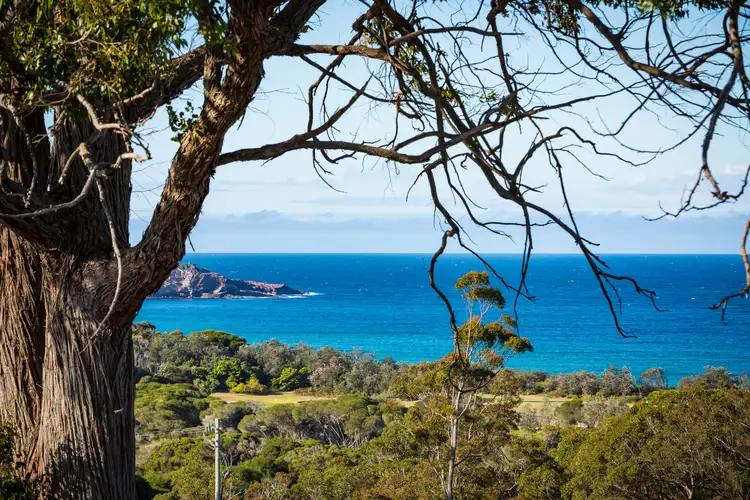 Fifth view of Homely house listing, 21 Acacia Crescent, Tura Beach NSW 2548