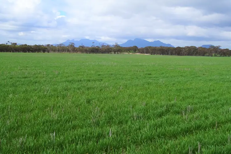 Fourth view of Homely rural property listing, 189 Dejagers Road, Amelup WA 6338