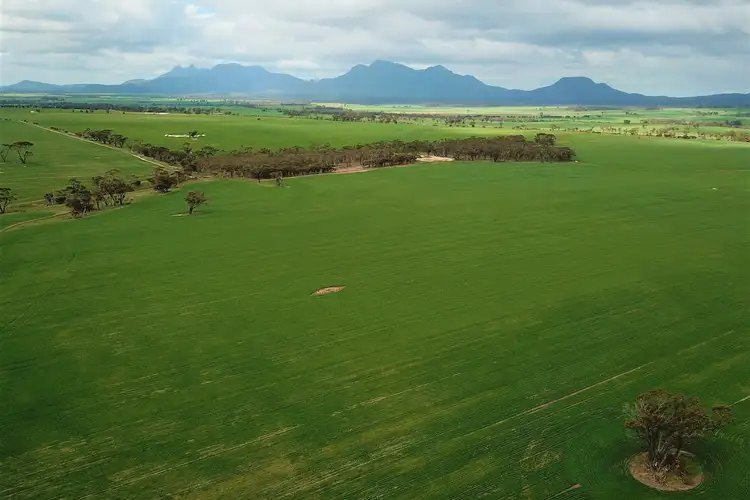 Fifth view of Homely rural property listing, 189 Dejagers Road, Amelup WA 6338