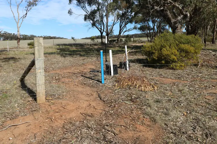 Sixth view of Homely rural property listing, LOT 1 Eucy Road, Korong Vale VIC 3520