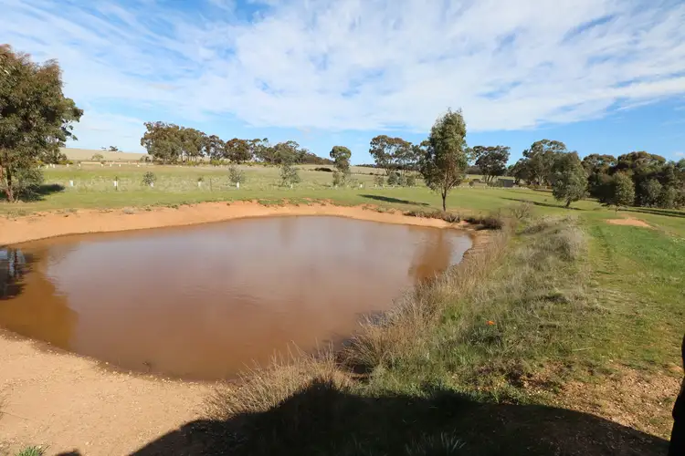 Seventh view of Homely rural property listing, LOT 1 Eucy Road, Korong Vale VIC 3520