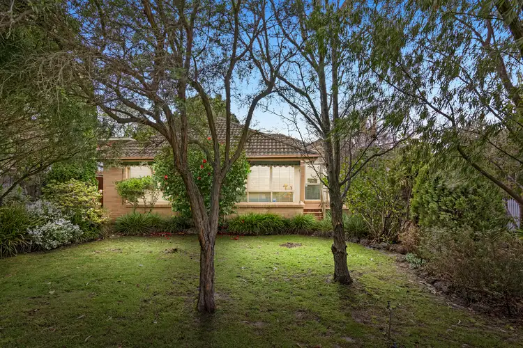 22 Shaw Street, Ashwood VIC 3147