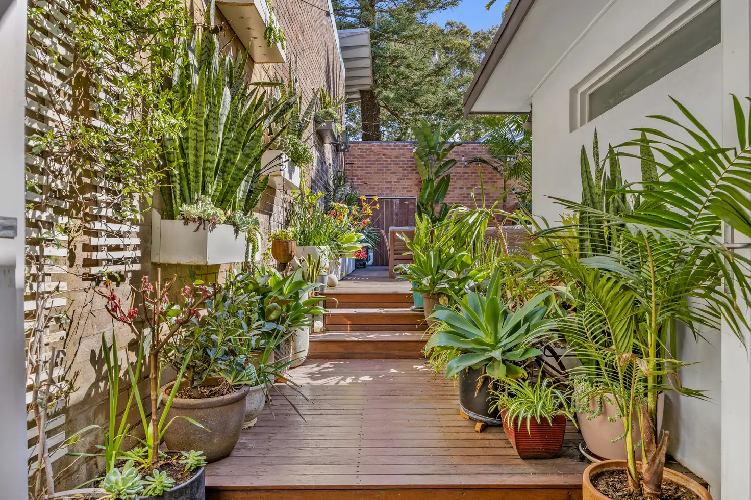 Main view of Homely house listing, 241 Chalmers Street, Redfern NSW 2016