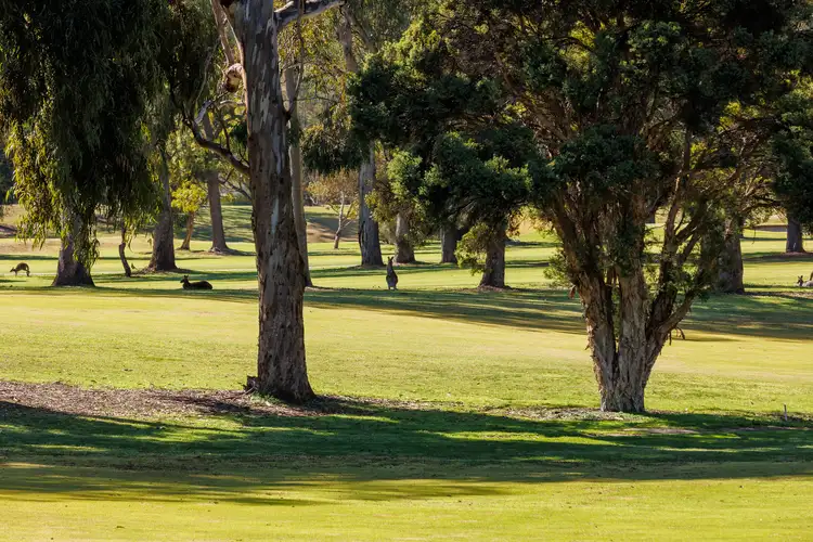 Sixth view of Homely land listing, 820 Golflinks Terrace, Albury NSW 2640