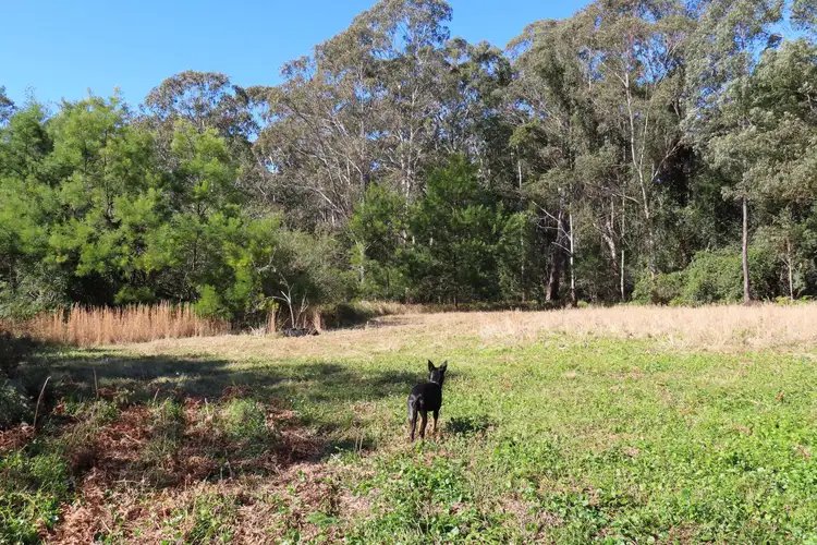 Third view of Homely rural property listing, 121 Cross Street, Dundurrabin NSW 2453