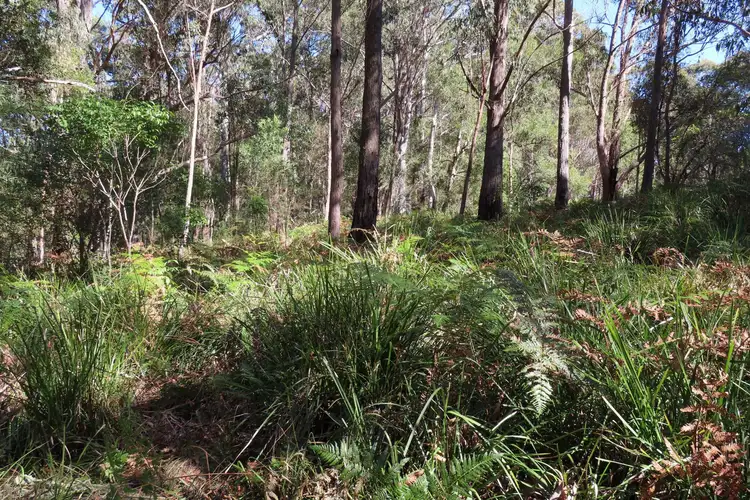 Fourth view of Homely rural property listing, 121 Cross Street, Dundurrabin NSW 2453