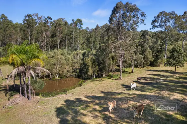 Third view of Homely house listing, 390 Bauple Drive, Bauple QLD 4650
