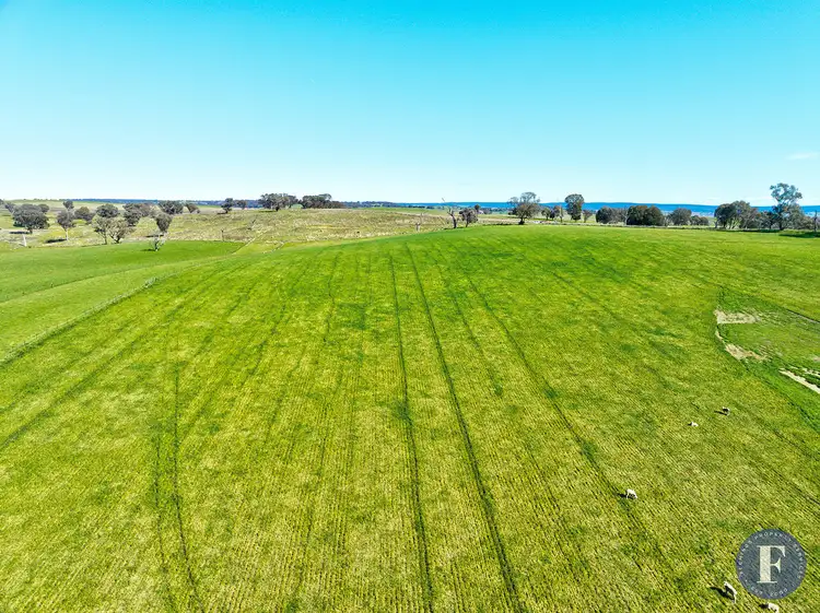 Second view of Homely rural property listing, Lot 4 Geegullagong Roads, Murringo NSW 2586