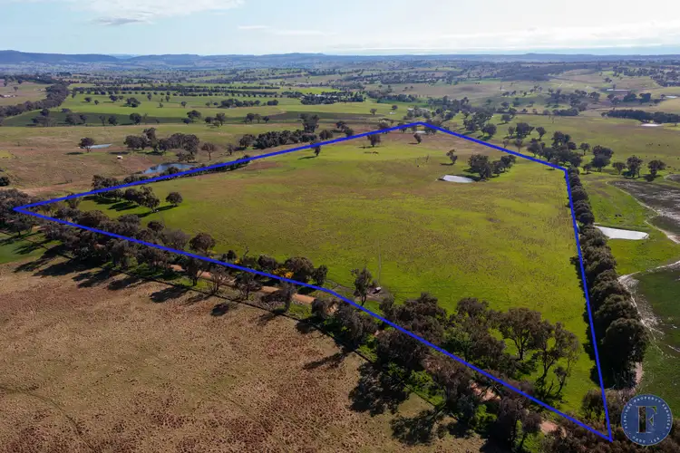 Lot 3 Milo Roads, Murringo NSW 2586