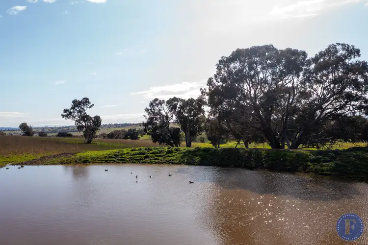 Second view of Homely rural property listing, Lot 3 Milo Roads, Murringo NSW 2586