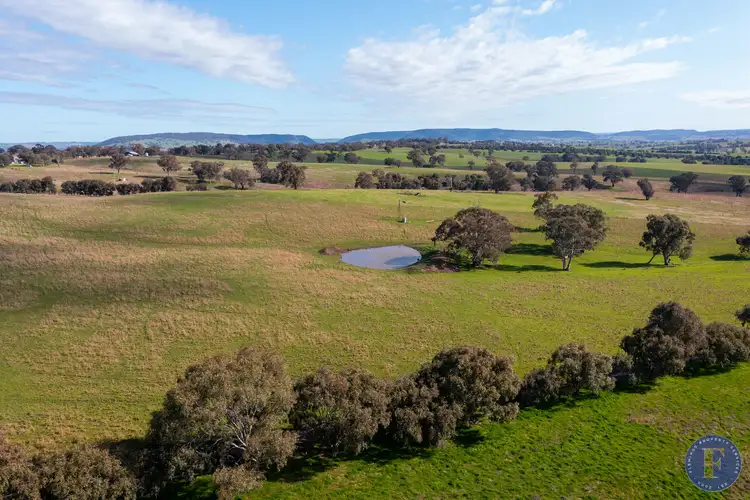 Third view of Homely rural property listing, Lot 3 Milo Roads, Murringo NSW 2586