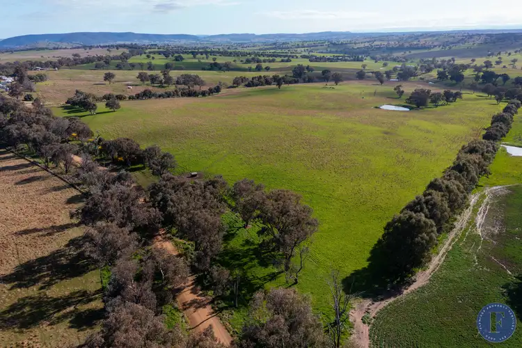 Fifth view of Homely rural property listing, Lot 3 Milo Roads, Murringo NSW 2586