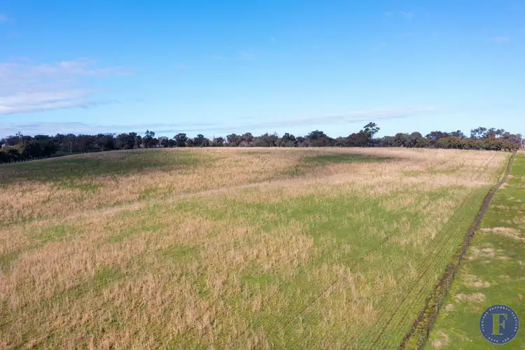 Sixth view of Homely rural property listing, Lot 3 Milo Roads, Murringo NSW 2586