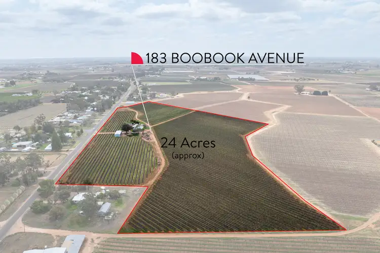 Second view of Homely rural property listing, 183 Boobook Avenue, Red Cliffs VIC 3496