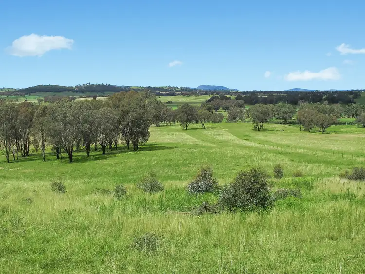 Fourth view of Homely rural property listing, 152 Lesters Lane, Mudgee NSW 2850