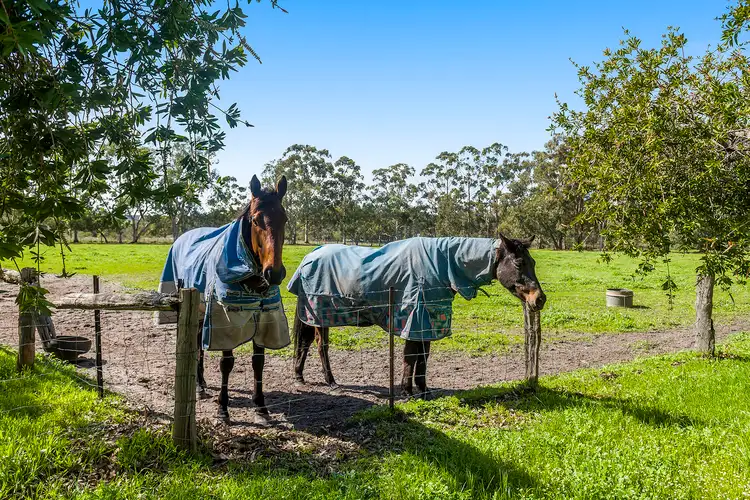 Seventh view of Homely rural property listing, 3297 Great Northern Highway, Bullsbrook WA 6084