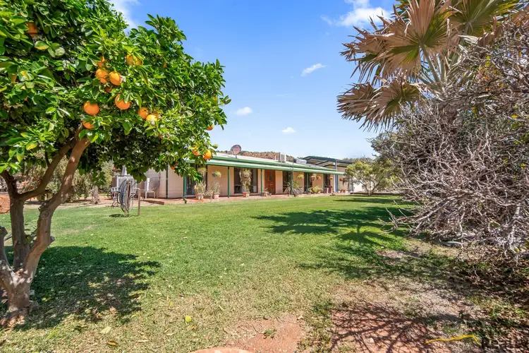 Second view of Homely rural property listing, 17 Kadow Road, Ilparpa NT 873