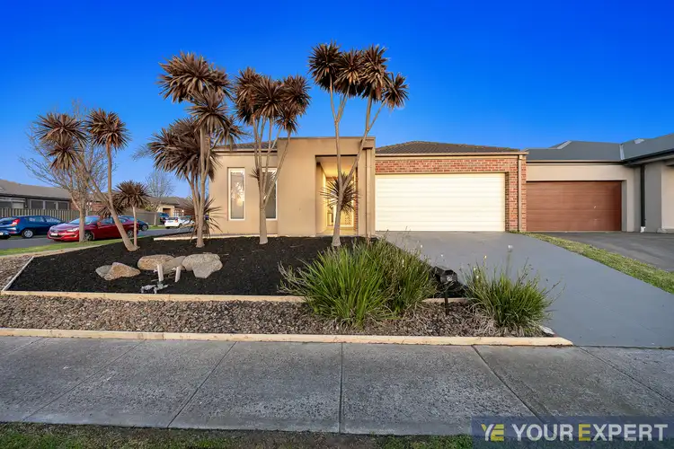 Third view of Homely house listing, 19 Cerbera Bend, Cranbourne North VIC 3977
