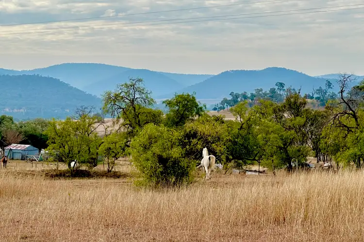 Second view of Homely house listing, 869 Saddletop Road, Upper Pilton QLD 4361