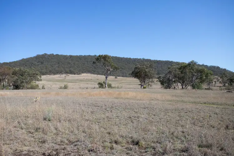Fifth view of Homely house listing, 869 Saddletop Road, Upper Pilton QLD 4361